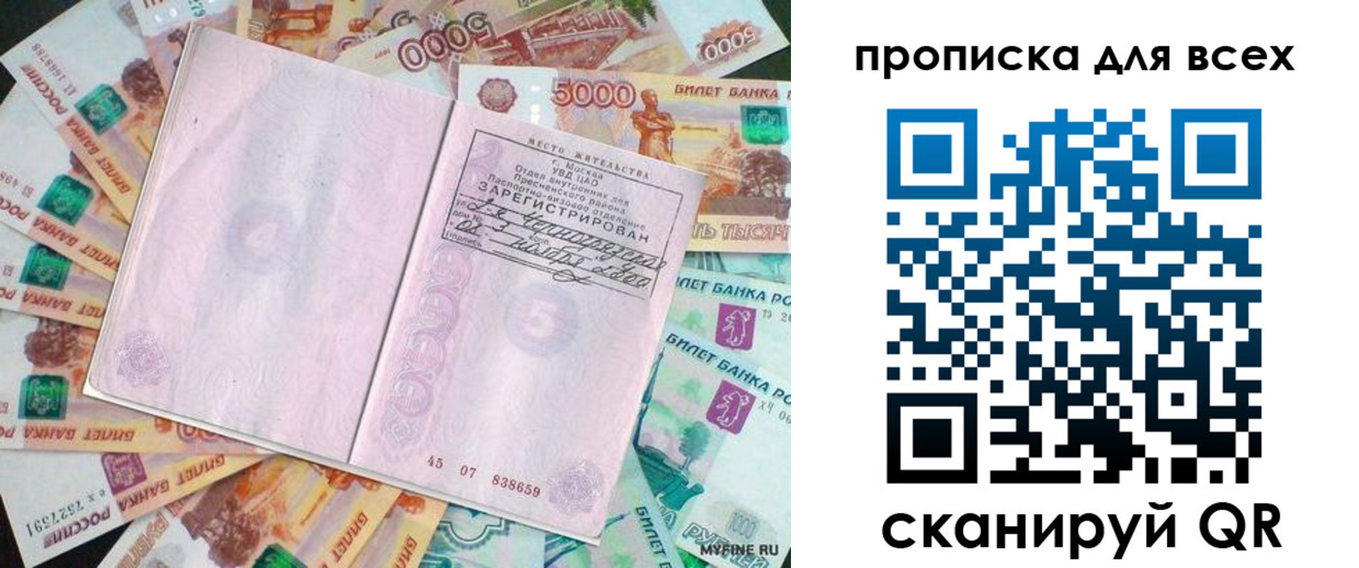 прописка штамп в Нелидово